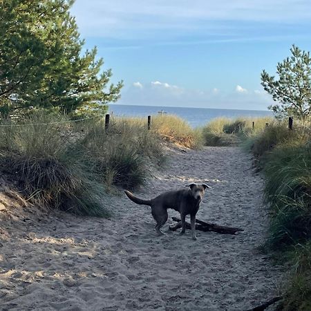 Reet Am Strand Mit Hund Karlshagen Kültér fotó