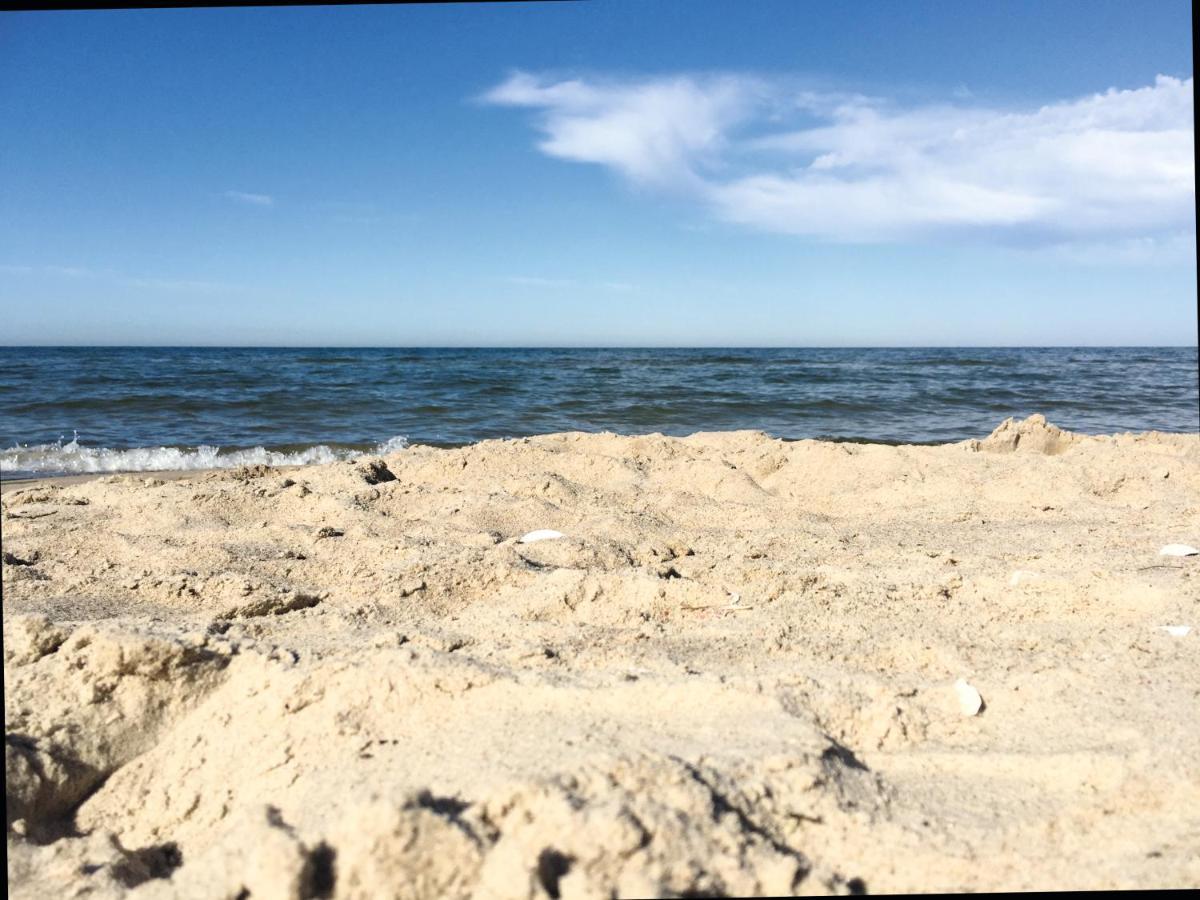 Reet Am Strand Mit Hund Karlshagen Kültér fotó