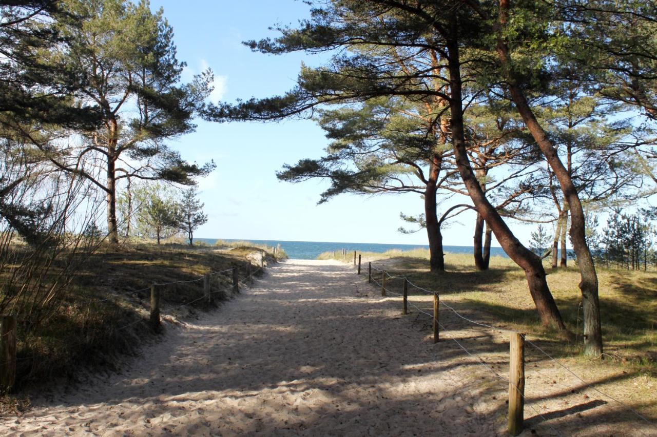 Reet Am Strand Mit Hund Karlshagen Kültér fotó