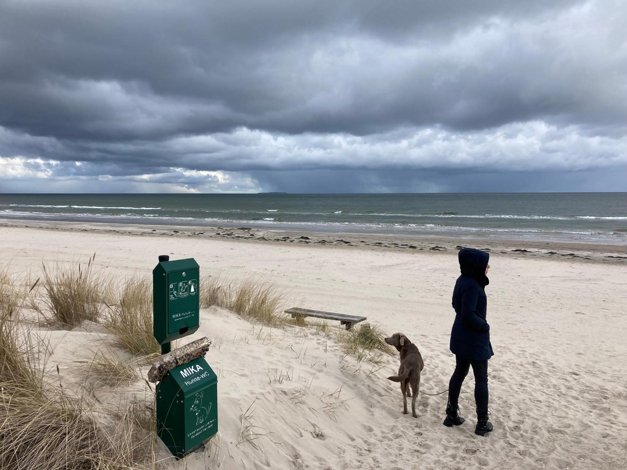 Reet Am Strand Mit Hund Karlshagen Kültér fotó